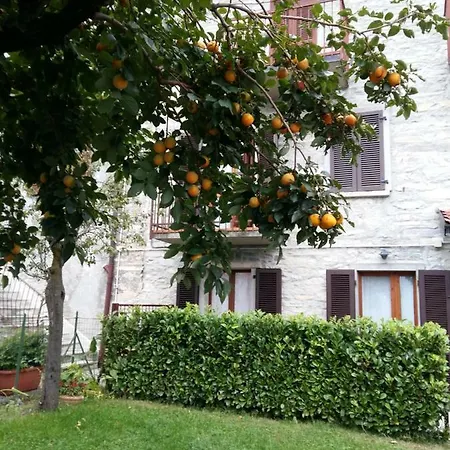 Tatil Evi Bellavista *