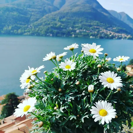 Bellavista Tatil Evi *