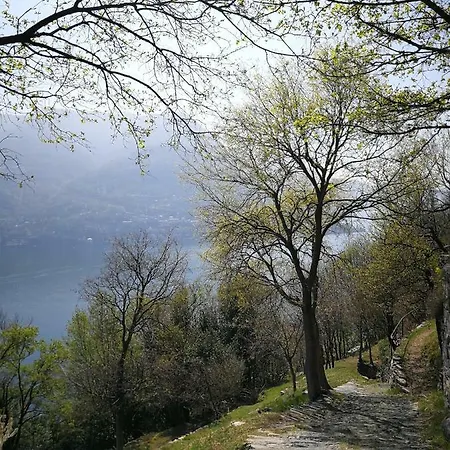 Bellavista Tatil Evi