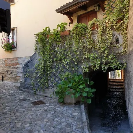 Bellavista *